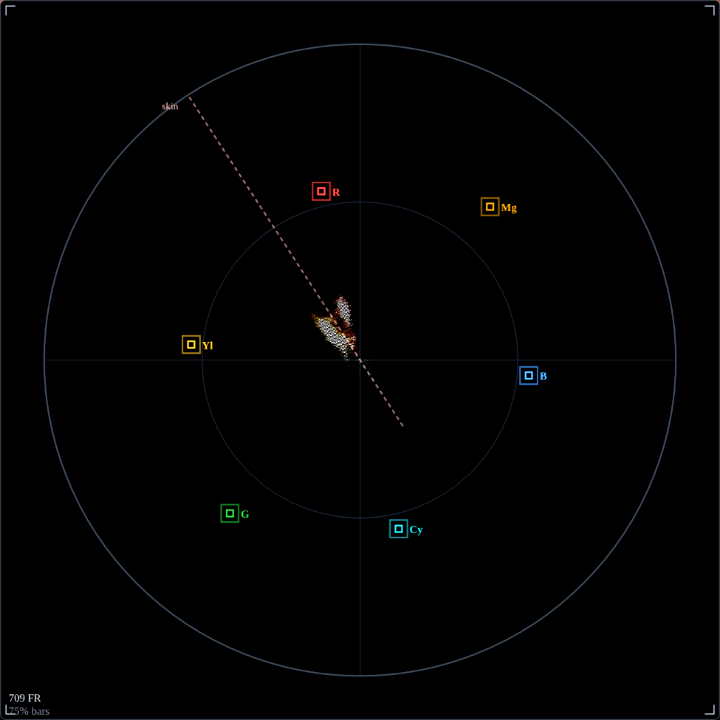 Vectorscope of a portrait